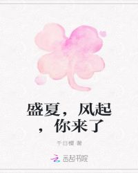 盛夏，风起，你来了章节列表