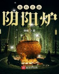 我有圣器阴阳炉章节列表