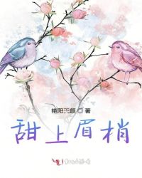 甜上眉梢章节列表