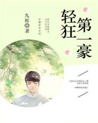 轻狂第一豪章节列表