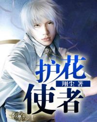 护花使者章节列表