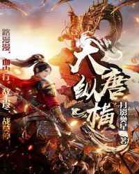 大唐纵横章节列表