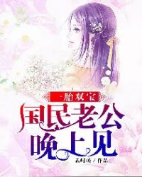 一胎双宝：国民老公，晚上见章节列表