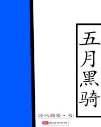 五月黑骑章节列表