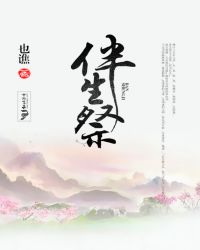 伴生祭章节列表