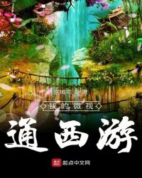我的微视通西游章节列表