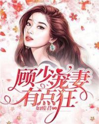 顾少宠妻有点狂章节列表