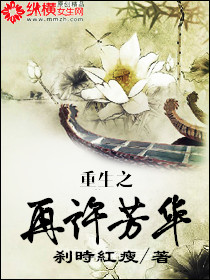 重生之再许芳华章节列表