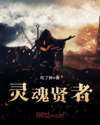 灵魂贤者章节列表