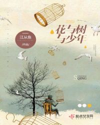 花与树与少年章节列表