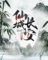 仙城长安章节列表