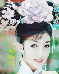 清穿之四爷侧福晋章节列表