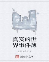 真实的世界事件薄章节列表