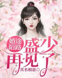 婚途陌路：盛少，再见了章节列表