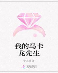 我的马卡龙先生章节列表