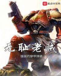 无耻老贼章节列表