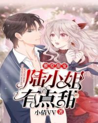 蜜爱甜宠：陆小姐有点甜章节列表