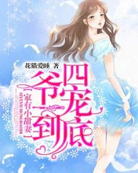 家有小甜妻：四爷，一宠到底章节列表