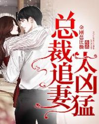 总裁追妻太凶猛章节列表