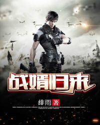 战婿归来章节列表