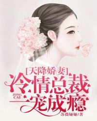 天降娇妻：冷情总裁一宠成瘾章节列表