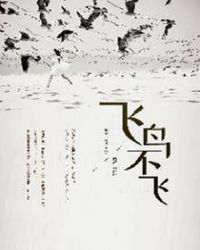 飞鸟不飞章节列表