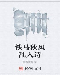 铁马秋风乱入诗章节列表