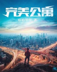 完美公寓章节列表