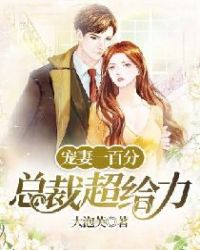 宠妻一百分：总裁超给力章节列表