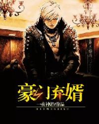 豪门弃婿章节列表