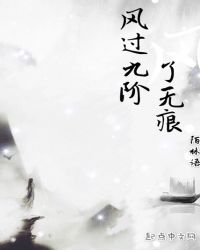 风过九阶了无痕章节列表