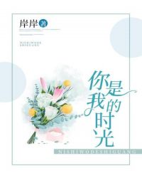 你是我的时光章节列表