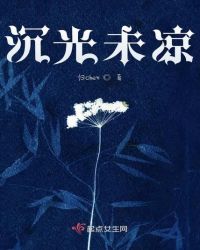 沉光未凉章节列表