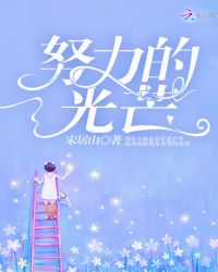 努力的光芒章节列表