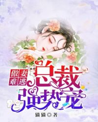 傲妻难逃：总裁强势宠章节列表
