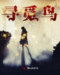 寻觅鸟章节列表