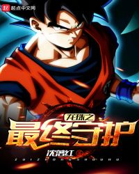 龙珠之最终守护章节列表