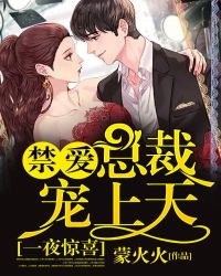 一夜惊喜，禁爱总裁宠上天章节列表