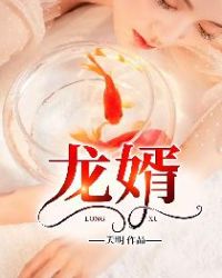 龙婿章节列表