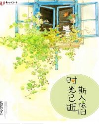 时光已逝，斯人依旧章节列表