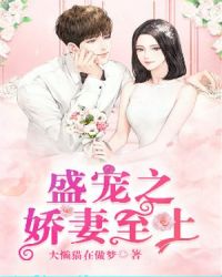 盛宠之娇妻至上章节列表