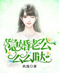 隐婚老公，么么哒章节列表