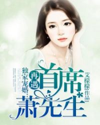 独家宠婚：再遇首席萧先生章节列表
