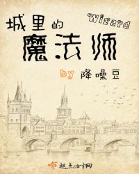 城里的魔法师章节列表