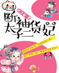 断袖太子二货妃章节列表