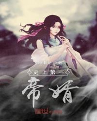 史上第一帝婿章节列表