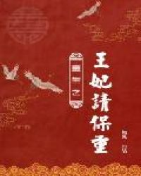 重生之王妃请保重章节列表