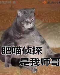 肥喵侦探是我师哥章节列表