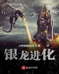 银龙进化章节列表