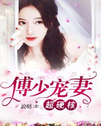 傅少宠妻超硬核章节列表